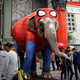 Image for article titled The Week In Pictures – Week Of February 24, 2020